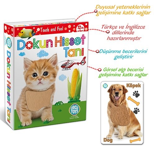 Circle Toys Dokun Hisset Tanı Kartları 