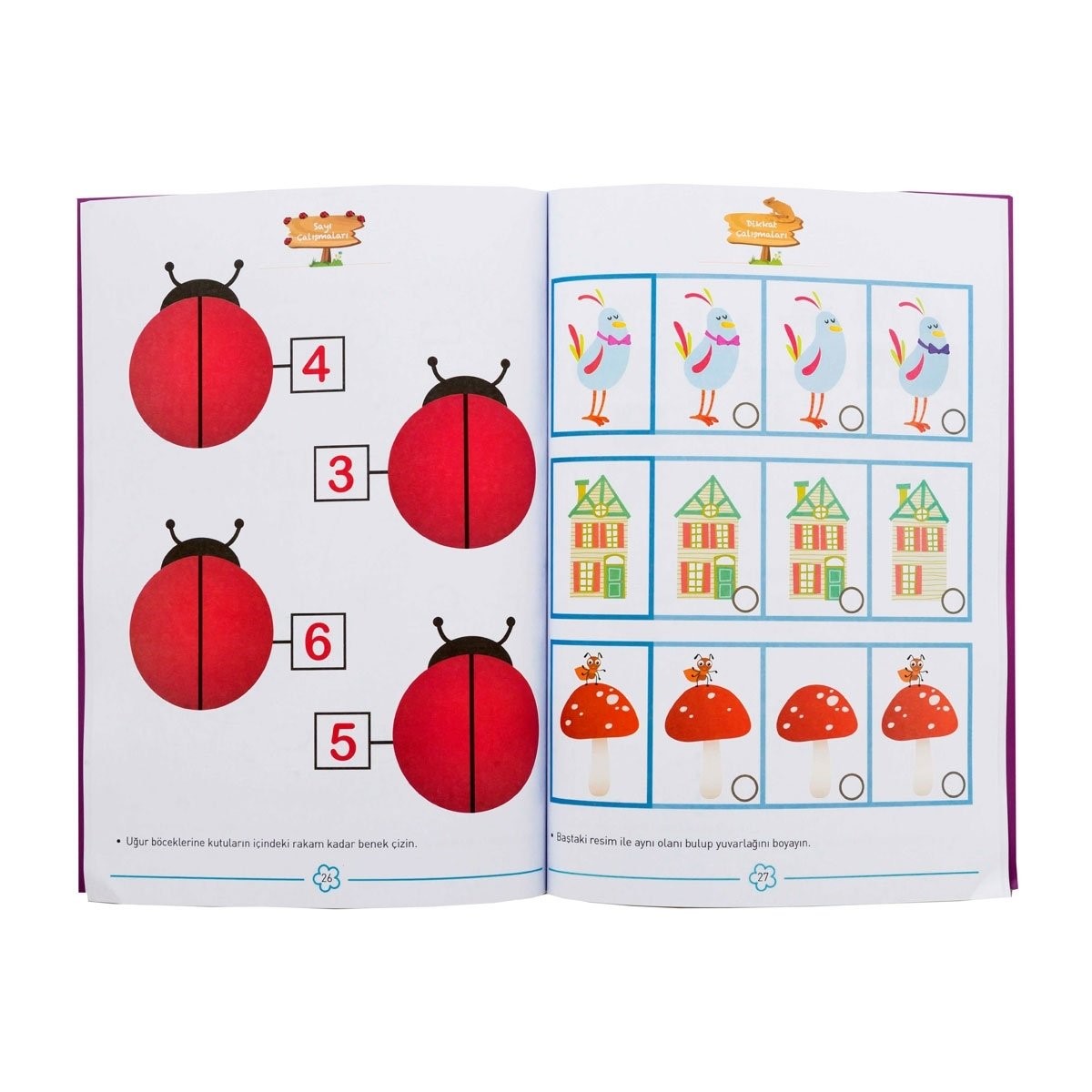Eolo 3+ Yaş Zihinsel Gelişim Etkinlikleri – Seviye 3 